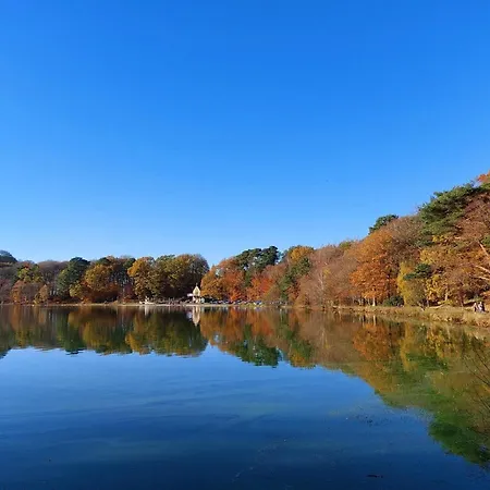 The Old Gables * Μπράμπτον